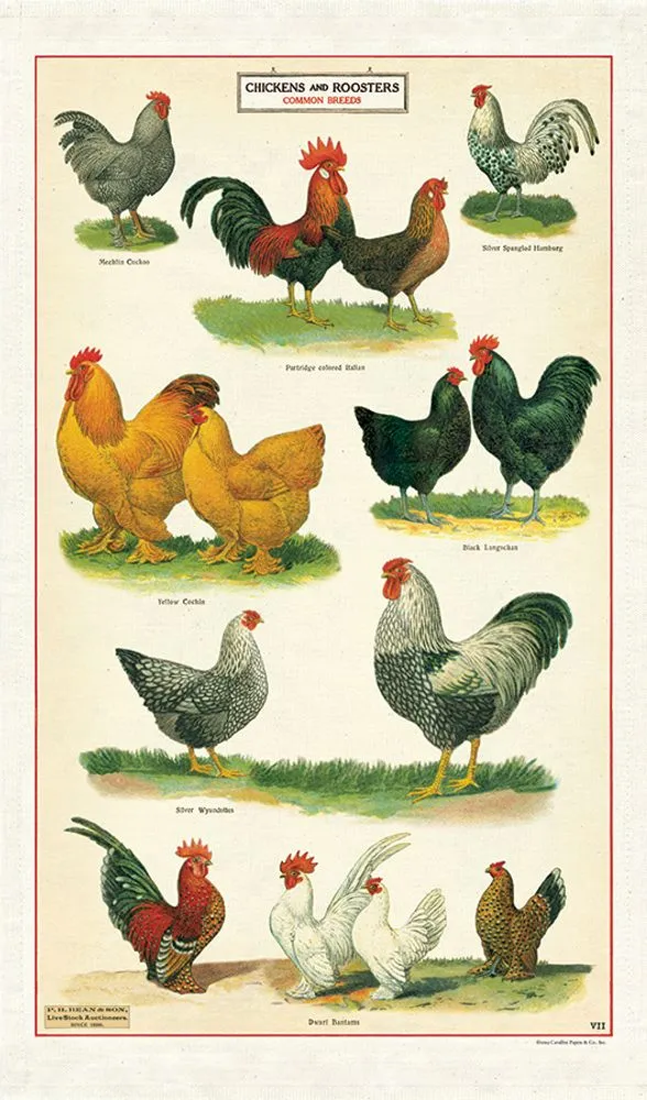Cavallini's tea towels